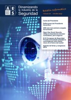 Artículo publicado en el Boletín Número 71 - Octubre 2019, de AES