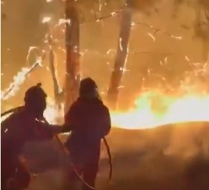 Seguridad contra incendios forestales. Nuevo paradigma de gestión, por Manuel Sánchez Gómez-Merelo