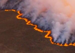 Seguridad contra incendios forestales. Nuevo paradigma de gestión, por Manuel Sánchez Gómez-Merelo