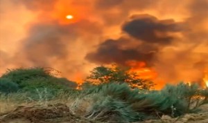 Seguridad contra incendios forestales. Nuevo paradigma de gestión, por Manuel Sánchez Gómez-Merelo