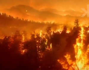 Seguridad contra incendios forestales. Nuevo paradigma de gestión, por Manuel Sánchez Gómez-Merelo